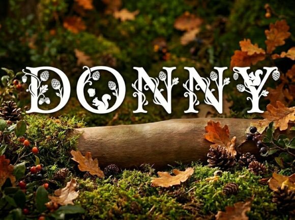 Donny: A Bold Typeface for High-Impact Visual Design